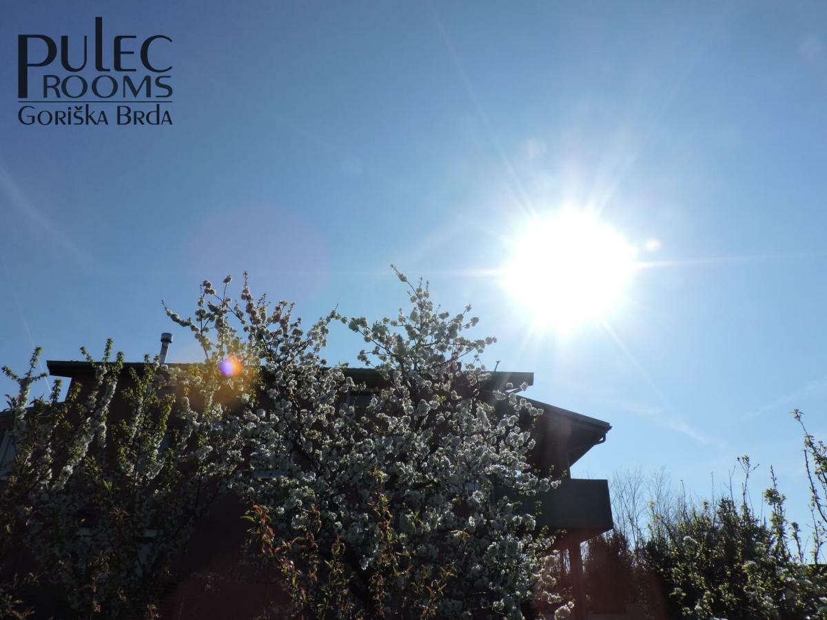 Apartma sobe Pulec Dobrovo Exterior foto